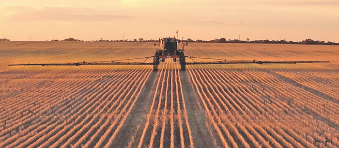  A field utilizing controlled traffic farming, confining farm equipment to permanent traffic lanes showing up as uniform rows