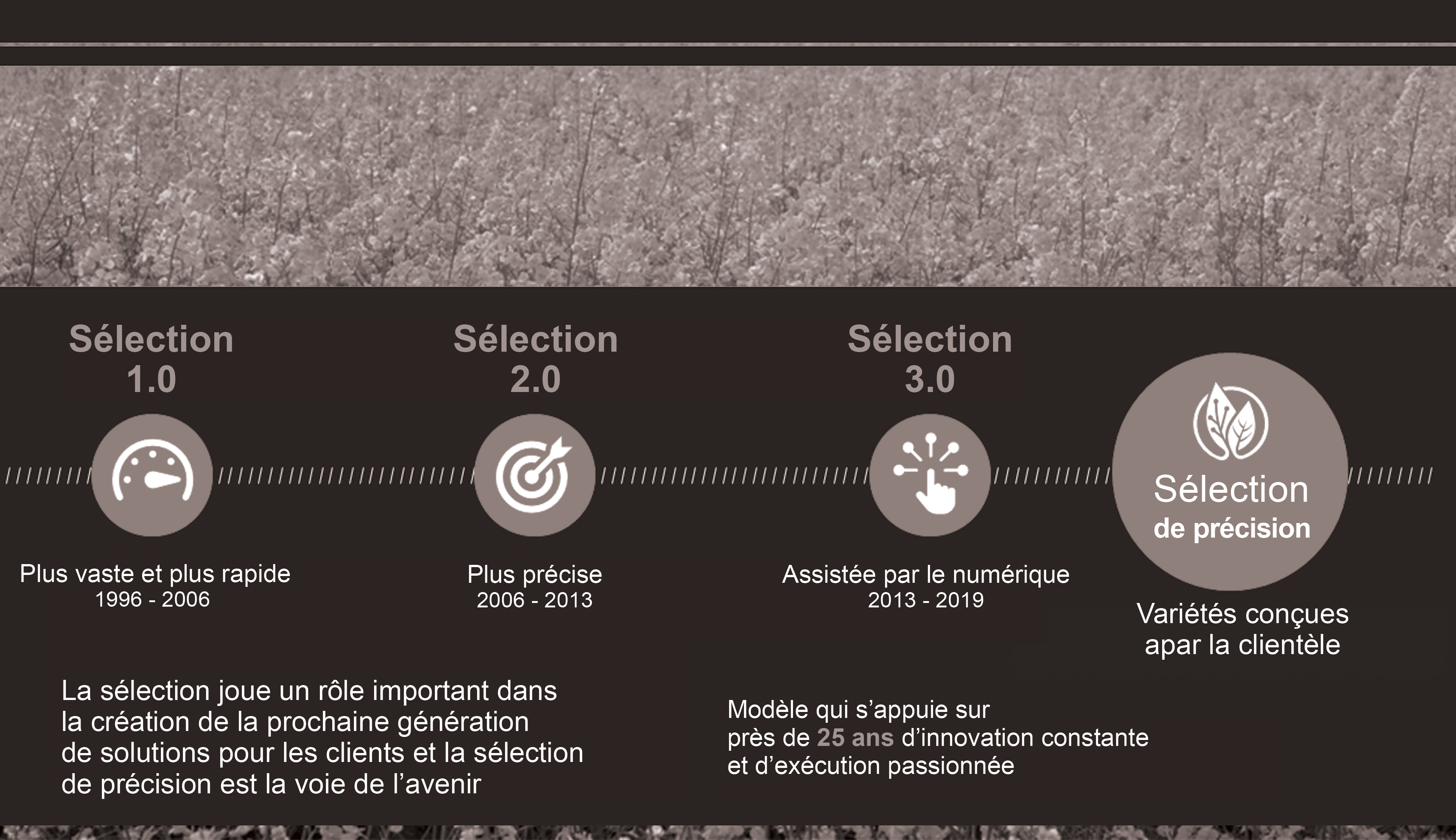 Cette image présente l'évolution du procédé de sélection végétale. La sélection végétale de précision repose sur les principes de base de la sélection végétale, mais intègre en même temps des outils numériques.