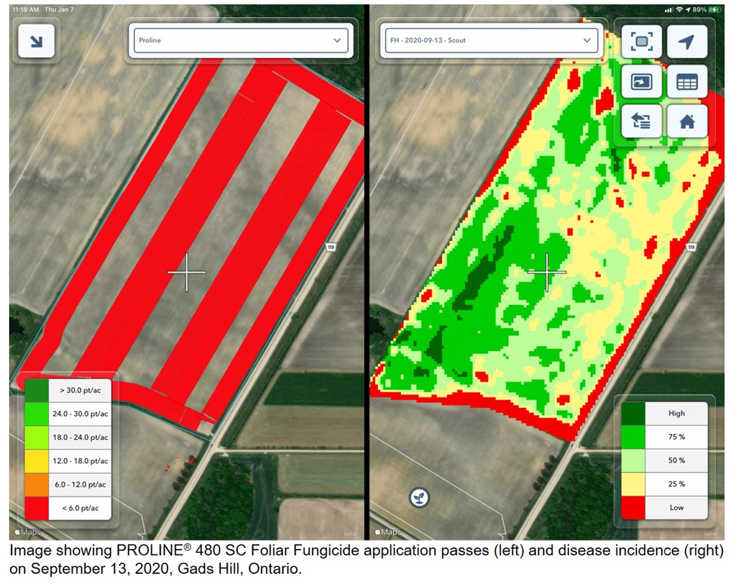 Figure 16 is a Climate FieldView™ Platform image of PROLINE® 480 SC Foliar Fungicide application passes and disease incidence on September 13, 2020 at Gads Hill, Ontario.