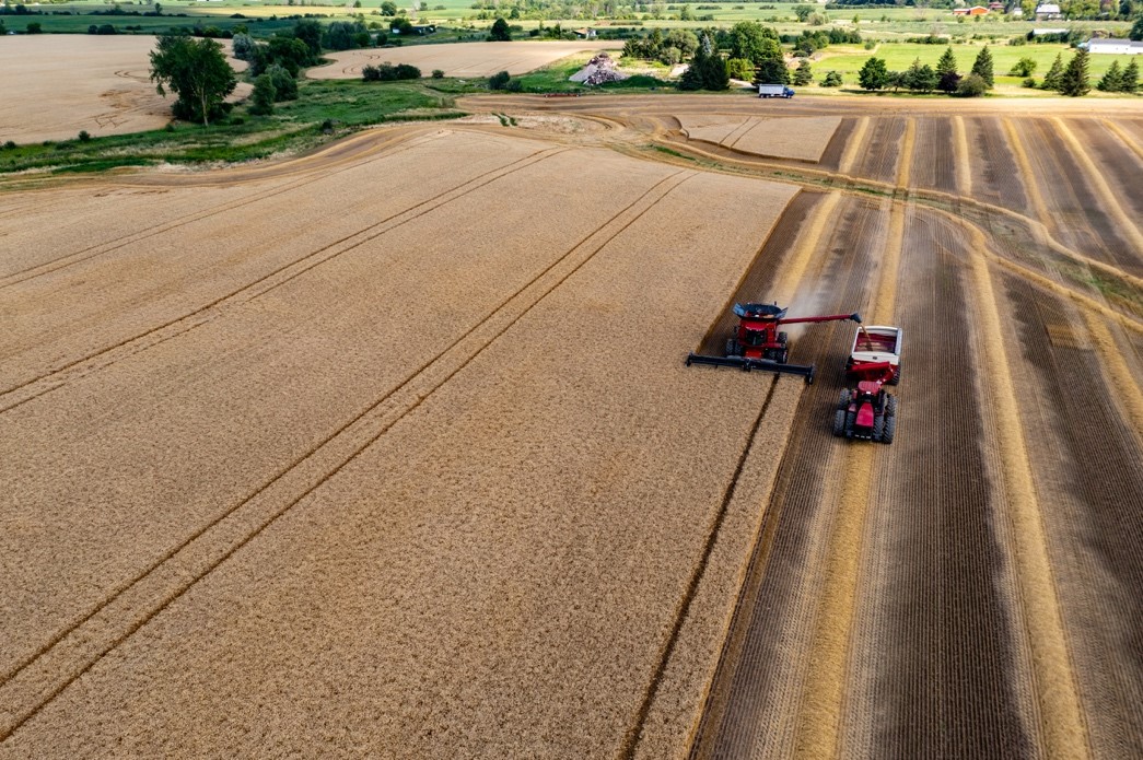 A large field with a combine cutting the brown crop plant, and the cuttings being conveyed into a tractor trailer at its side. 