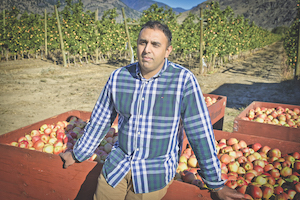 Gurpreet leaning against crates of his picked apples, with rows of apple trees in the background