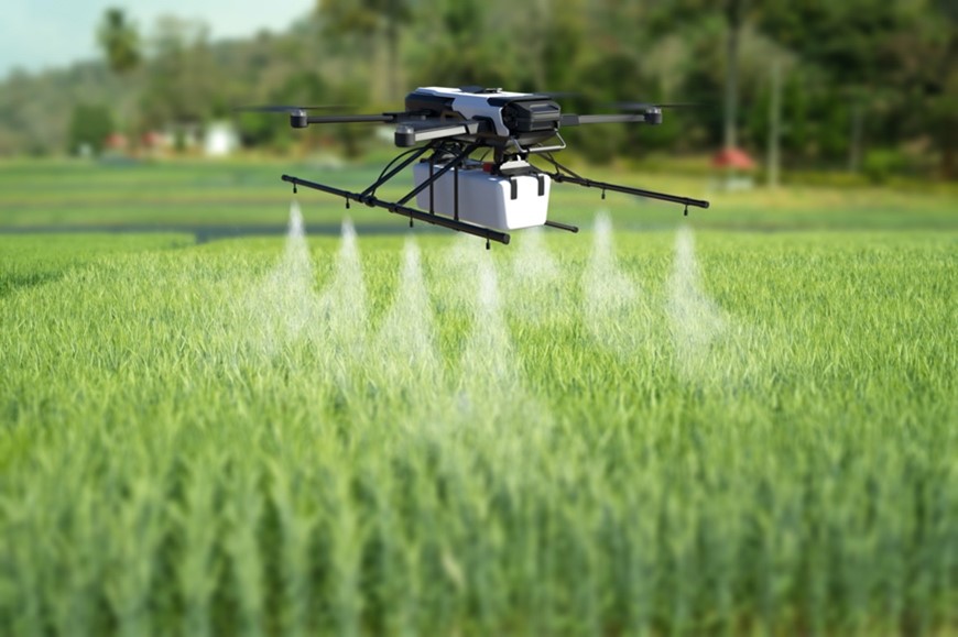 A black drone hovers just above a green field of healthy plants, spraying a solution down onto the crop.