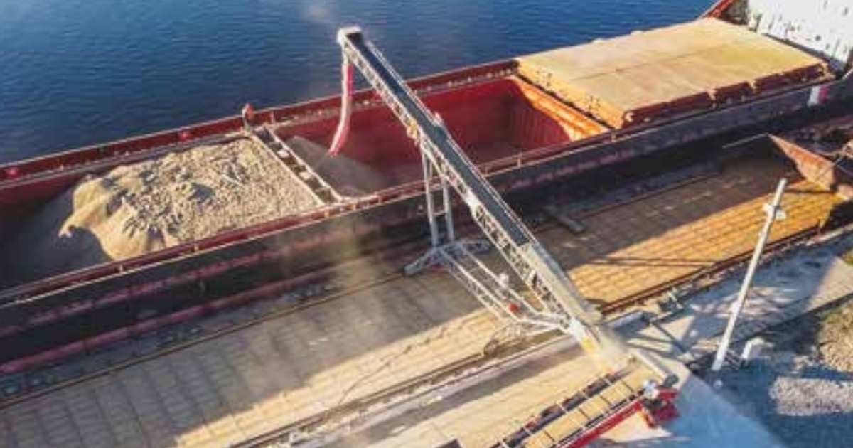 A small conveyor belt is beside a cargo ship on a dock, loading canola into the cargo hold of the ship. Blue water is in the background.