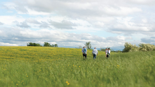 Three generations of a family walking away from the camera into a field