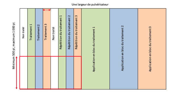  Trial Format image