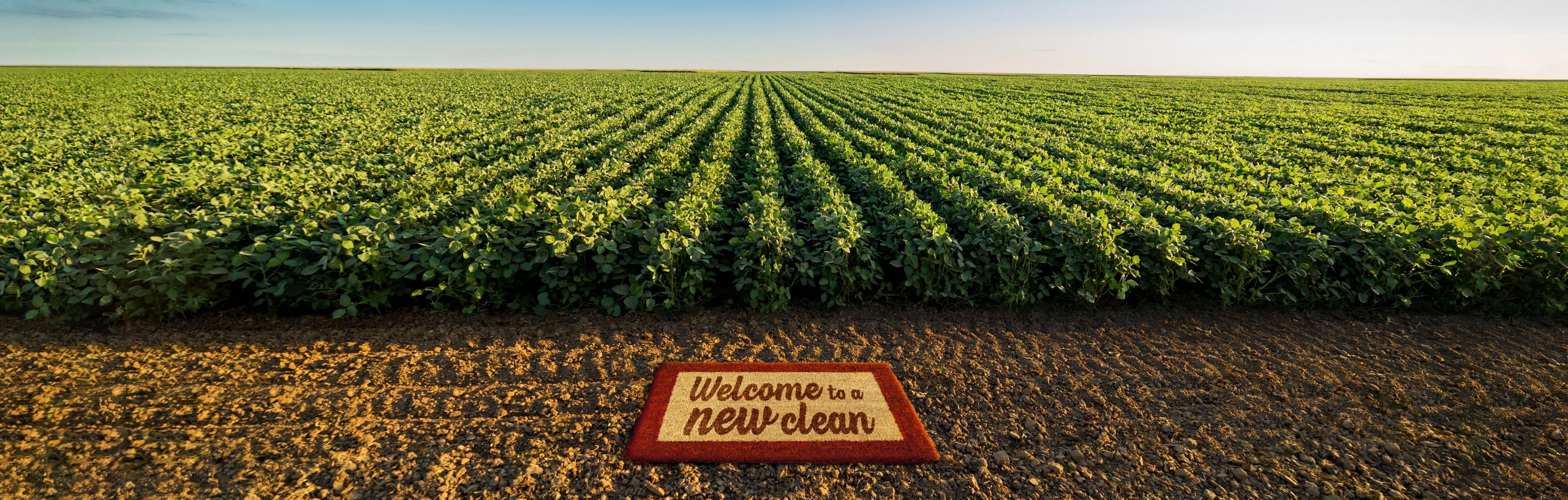 A clean field with a welcome mat in front of it spelling “welcome to a new clean