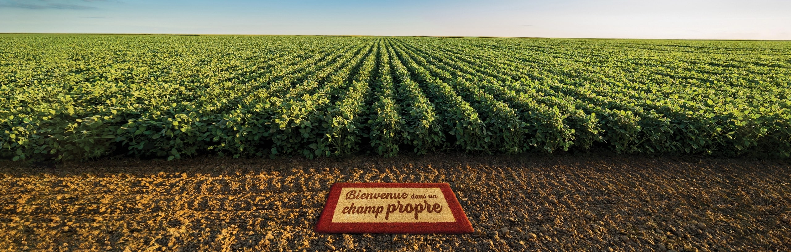 Image d'un tapis d'entrée placé devant un champ sur lequel il est inscrit Bienvenue dans un champ propre.