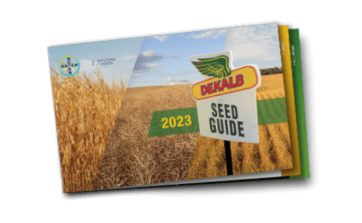 2023 SEED GUIDE