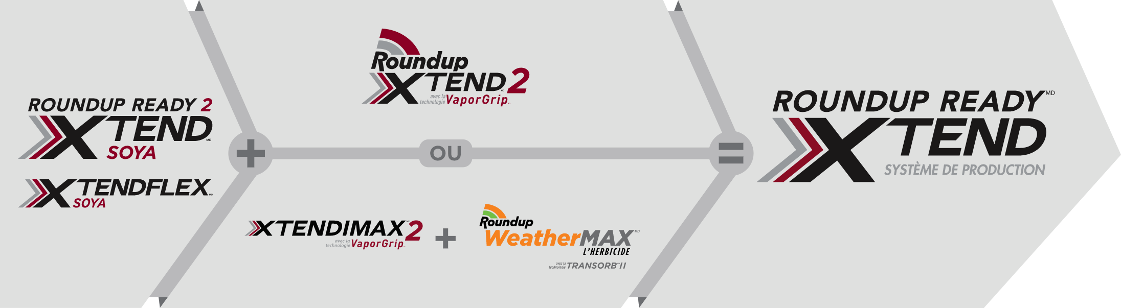 Diagramme sous forme d'équation qui comprend les logos des produits et qui indique (soya Roundup Ready 2 Xtend et soya Xtendflex) + Roundup Xtend 2 avec la technologie VaporGrip OU (Xtendimax2 avec la technologie VaporGrip + herbicide Roundup Weather MAX avec la technologie Transorb II) = système de production Roundup Ready Xtend. 