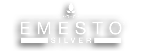 Emesto silver logo