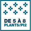 5 à 8 plants par pied carré