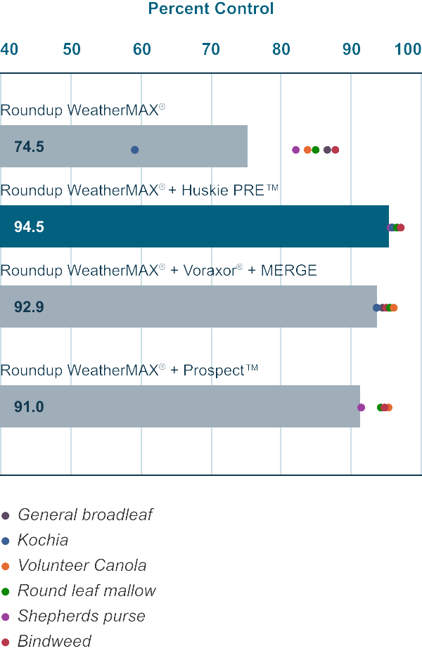 Herbicide performance for broadleaf activity & consistency in kochia, canola, round leaf mallow, sheperds purse and bindweed