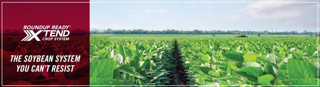 Roundup Ready Xtend Crop System | The soybean system you can't resist