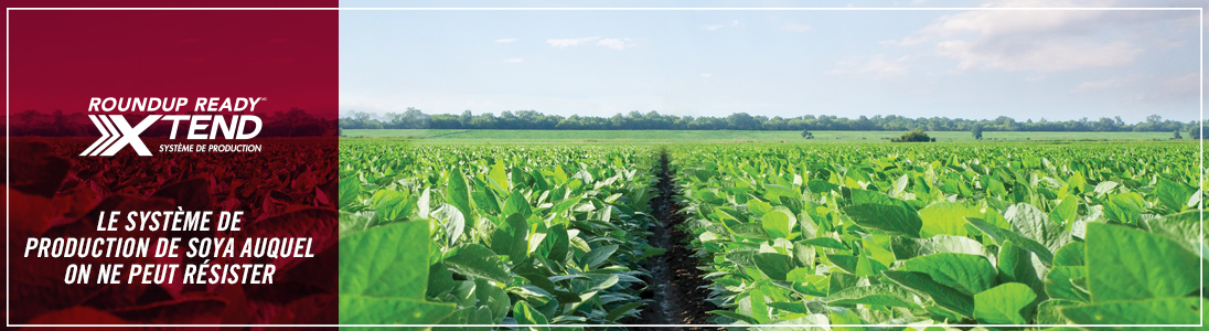 Roundup Ready Xtend Crop System | The soybean system you can't resist