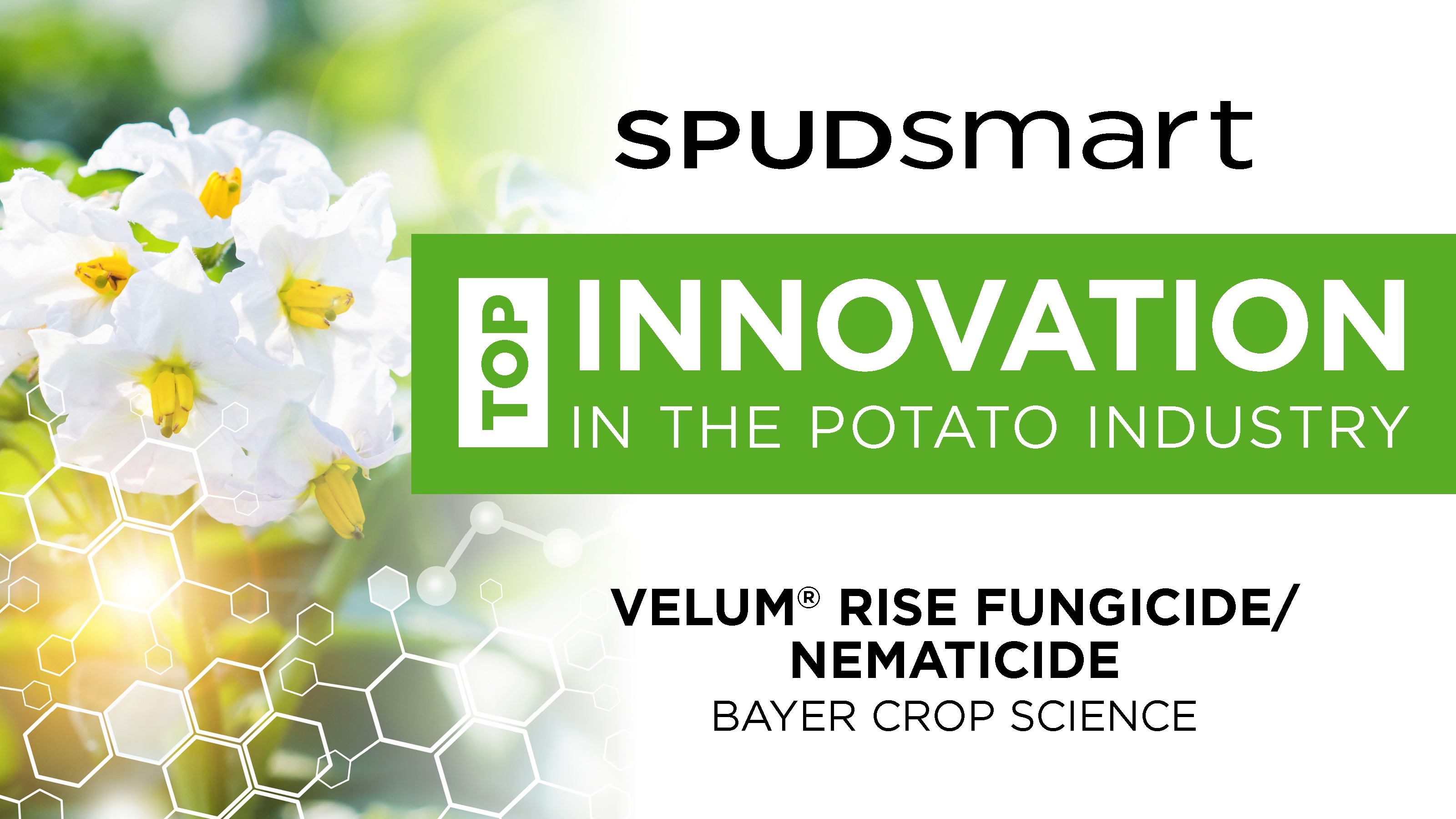 SPUDSmart’s Top Innovation in the Potato Industry: Velum® Rise Fungicide/Nematicide by Bayer Crop Science.