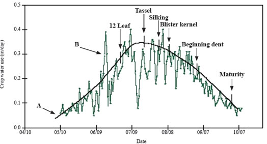 Example of long-term daily average and individual year corn water use with select growth stages.