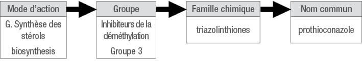 G. Sterol biosynthesis | DMI inhibitors Group 3 | triazolinthiones | prothioconazole