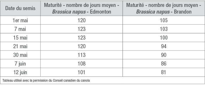 Effet de la date de semis du canola sur la maturité de la culture à deux endroits