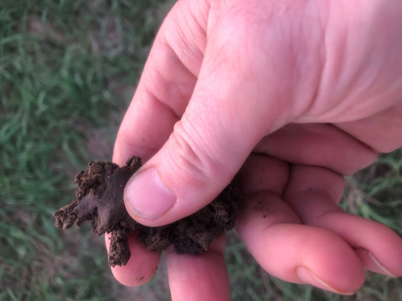 Fingers rubbing soil