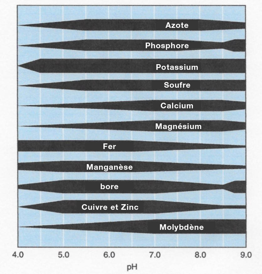 Nutrient availability chart