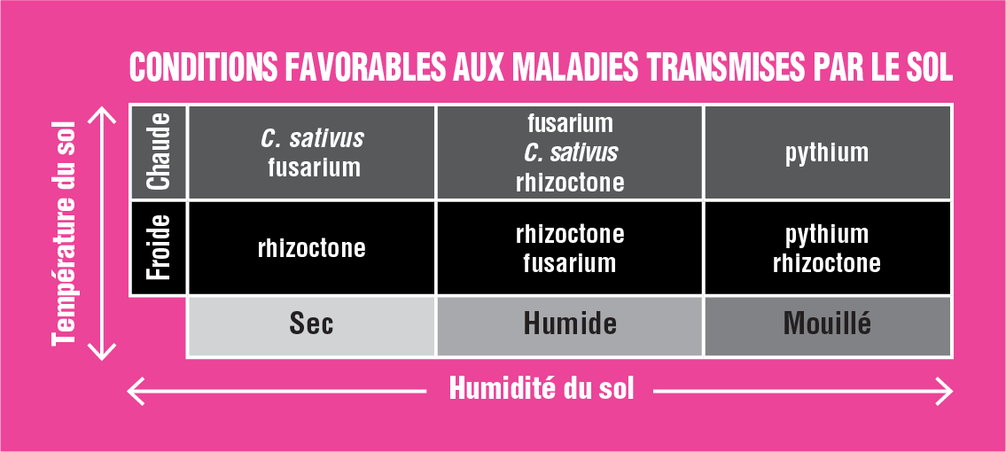 Tableau indiquant les conditions propices aux différentes maladies transmises par le sol en fonction de la température et de l’humidité du sol