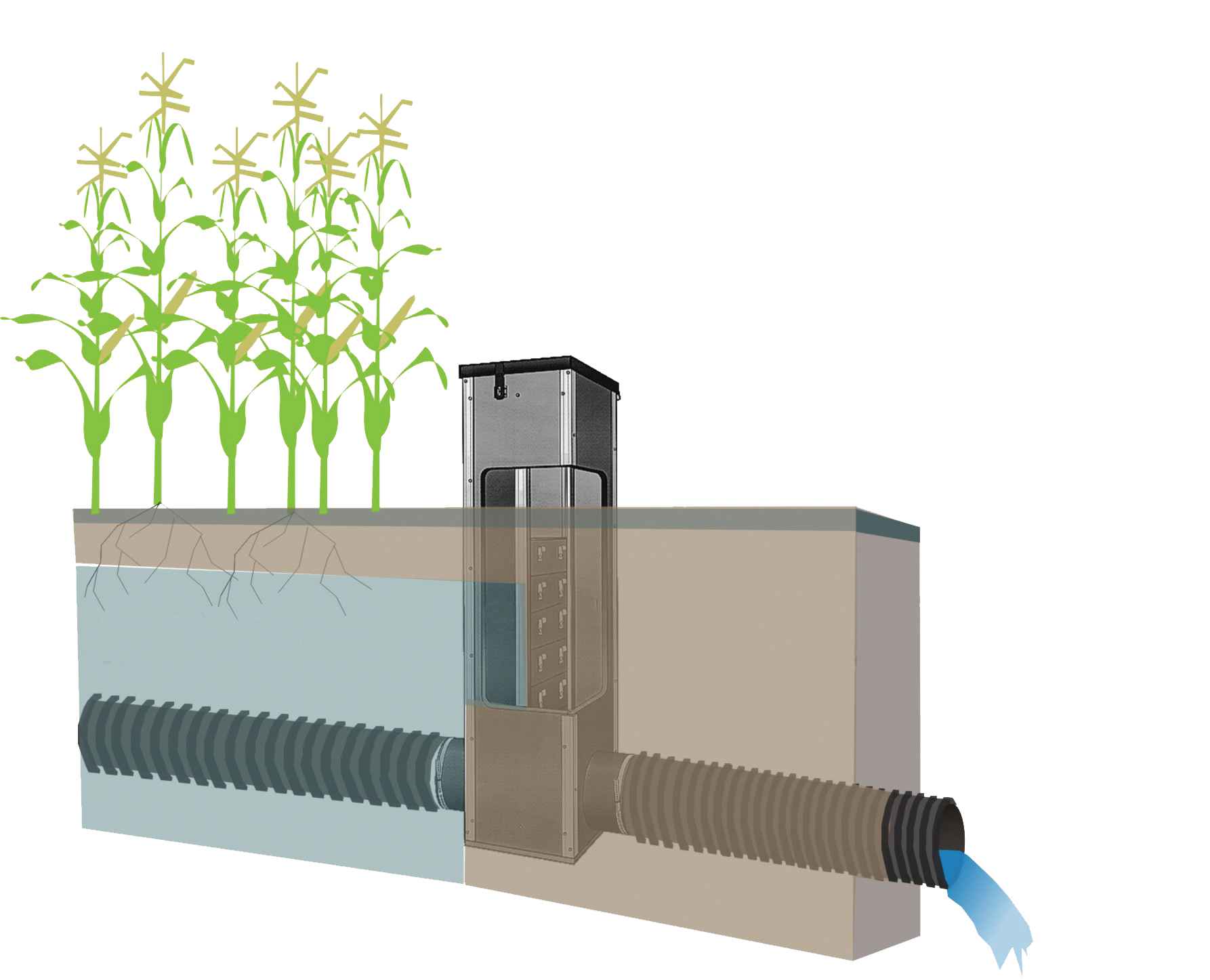  Structure de drainage qui peut être réglée en fonction de la saison de croissance pour élever ou abaisser la nappe phréatique