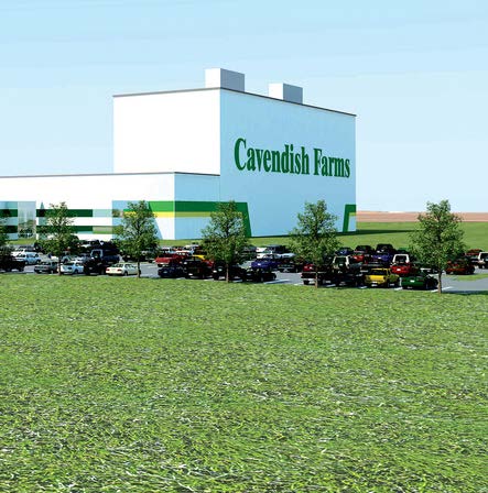 A white building sits on a tidy green lawn. The building has the name Cavendish Farms on it in bold green lettering.